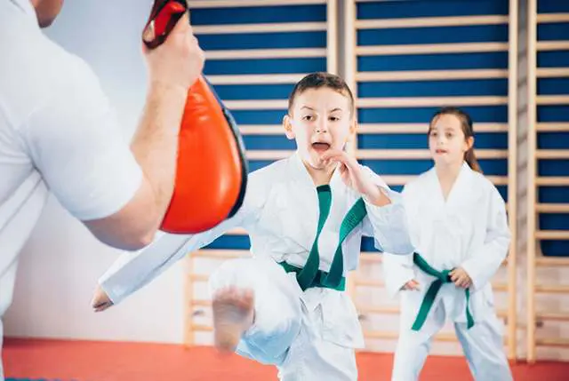 Virtual Training | Kids Martial Arts | Video