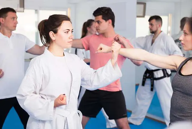 Family Martial Arts | Hybrid Classes | Ignite